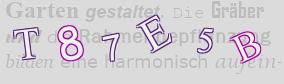 Sicherheitscode